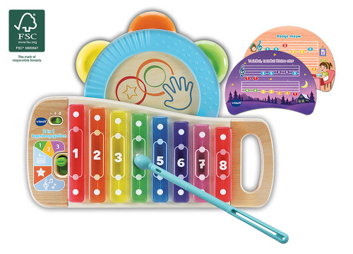 2 in 1 Regenboogxylofoon 80-615623