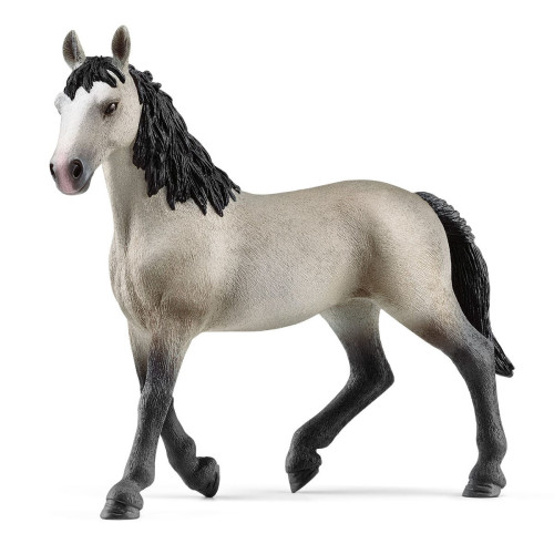 13955